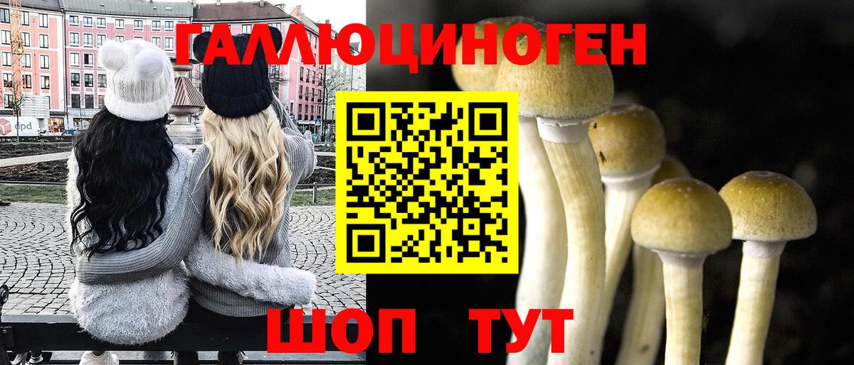 Ярославль  Галлюциногенные грибы мицелий  Вход с VPN 