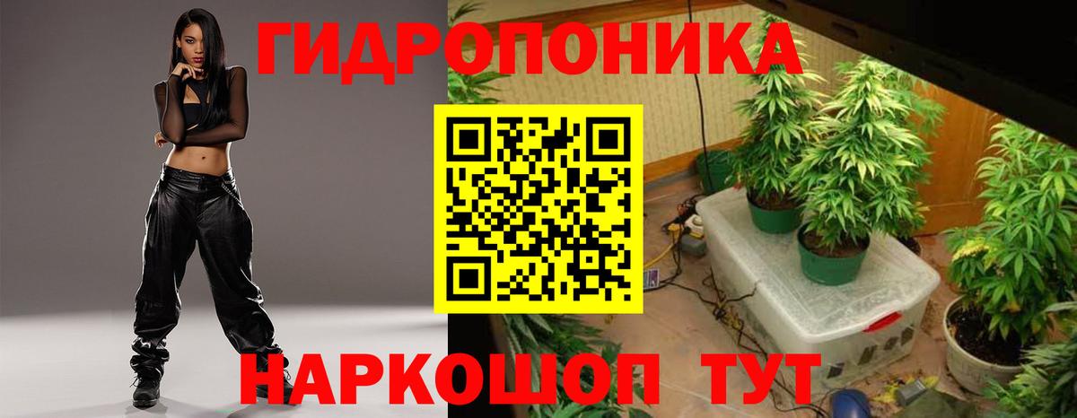Ярославль  Марихуана тримм  Вход с VPN  Марихуана план  Каннабис ГИДРОПОН  Марихуана SATIVA & INDICA 